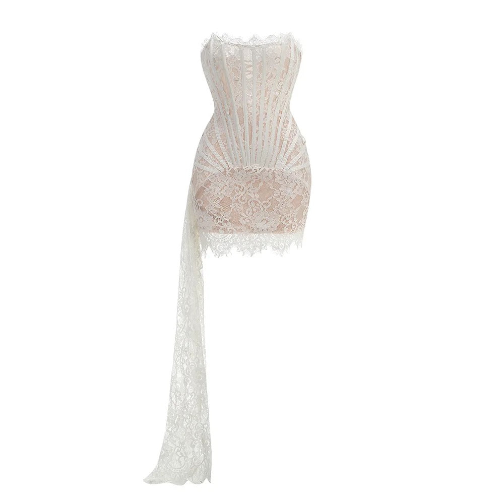 Lace in Lust Dress